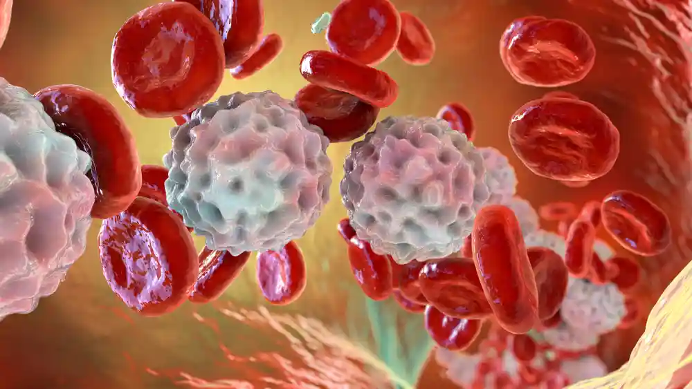 understanding-white-blood-cell-count-normal-high-low